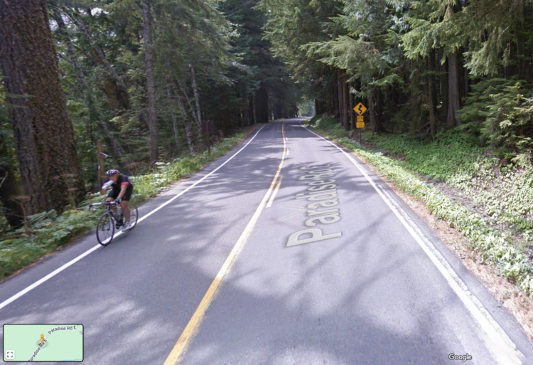 Google Street View image of a person riding a bike down a two-lane forested road.